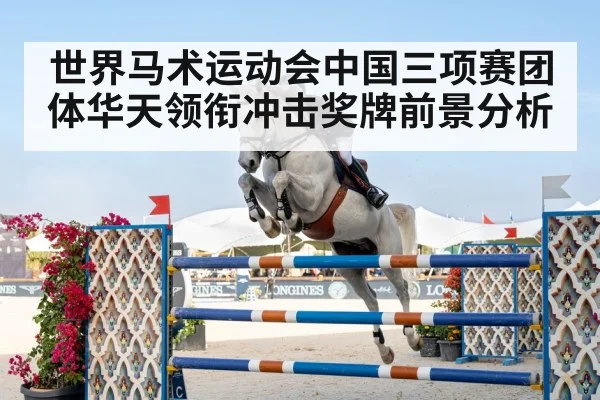 show jumping horse rider